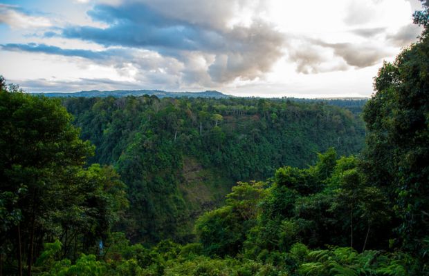 Bolaven Plateau